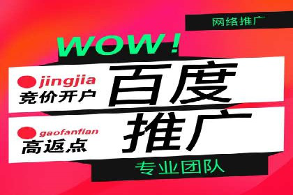 案例分享：百度SEO优化公司如何提高网站转化率